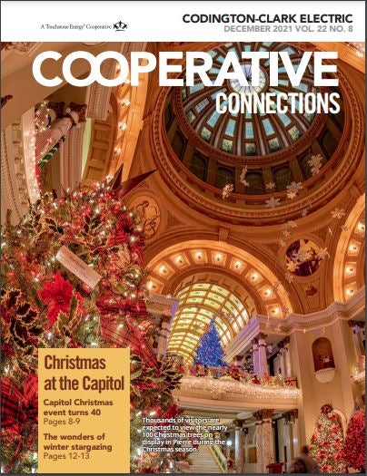 December 21 Magazine Cover-SD Capitol Christmas Tree display of lights