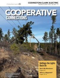A pine tree in the Black Hills getting removed from power line