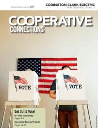 American Flag and voting booths